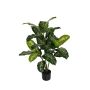 Fake Pflanze Dieffenbachia TANONIVA, grün, 100cm
