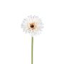 Künstliche Blume Gerbera TYLORA, weiß-beige, 60cm