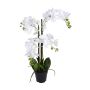 Kunst Phalaenopsis Orchidee WALLINA, Wurzeln, weiß, 90cm
