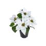 Künstliche Blume Weihnachtsstern ZALASSENA, weiß, 35cm
