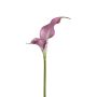 Künstliche Blume Calla ZEFYRA, rosa, 75cm