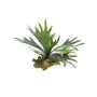 Künstliche Pflanze Geweihfarn MIAOLI, Steckstab, grün, 27cm