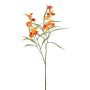 Kunstzweig Cambria Orchidee BLIVON, orange, 75cm