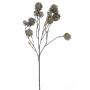Deko Zweig Kugeldistel CAIRONA, braun, 75cm