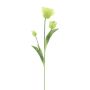 Künstliche Blume Papageientulpe BRYNIA, hellgrün, 70cm