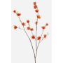 Deko Zweig Zaubernuss ZAVNER mit Blüten, orange, 110cm