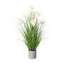 Dekogras Pampasgras VILMO im Dekotopf, Rispen, creme, 75cm