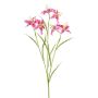 Kunstzweig Lilie PLOMIX, pink-weiß, 65cm, Ø8cm
