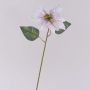 Samt Poinsettia künstlich LIBASSE, weiß-rosa, 45cm