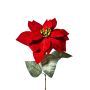 Samt Poinsettia künstlich LIBASSE, dunkelrot, 65cm