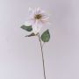Samt Poinsettia künstlich LIBASSE, weiß-rosa, 65cm