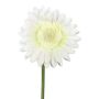 Künstliche Blume Gerbera TUNZA, creme, 50cm