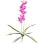 Kunst Dendrobium Sonia Orchidee NELTI, Steckstab, Wurzeln, lila, 60cm