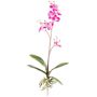 Kunst Phalaenopsis Orchidee MALZA, Steckstab, Wurzeln, cerise, 55cm