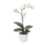 Kunst Phalaenopsis Orchidee MALZA, Steckstab, Wurzeln, creme, 55cm