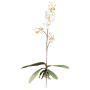 Kunst Phalaenopsis Orchidee MALZA, Steckstab, Wurzeln, creme, 55cm