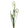 Deko Schneeglöckchen Blume ASOMB, Steckstab, creme, 45cm