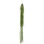Kunstpflanze Sukkulente Hoya linearis Hänger ERMELA, hängend, grün, 95cm