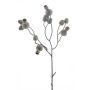 Kunstzweig Eukalyptus ONARIA, Früchte, braun-rot, 60cm