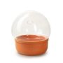 Glas Pflanzen Terrarium LUMIAN mit Loch, Keramikschale, klar, 25cm, Ø21cm