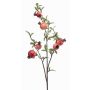 Künstlicher Zweig Granatapfel GRONEL mit Früchten, rot, 80cm