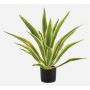 Künstliche Agave americana ZURNAL im Dekotopf, crossdoor, grün-gelb, 70cm