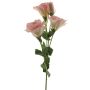 Unechter Lisianthus ALARONA, rosa-creme, 55cm, Ø6-8cm