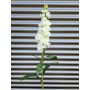 Kunstblume Levkoje BARIADE, creme-weiß, 85cm