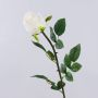 Rose künstlich SUNJIK, creme, 75cm, Ø7cm