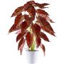 Kunst Alocasia Sanderiana PIVLA, Melamin-Übertopf, braun-rot, 70cm