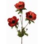 Samt Anemone Zweig WINFAS, rot-orange, 75cm, Ø9-11cm