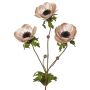 Samt Anemone Zweig WINFAS, zartrosa, 75cm, Ø9-11cm