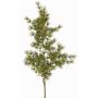 Künstlicher Asparagus umbellatus Zweig DIKERNO, grün, 75cm