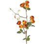 Künstlicher Kohl-Rosen Zweig LORRAINE, Eco Collection, gelb-orange, 60cm, Ø3cm
