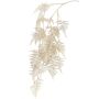 Deko Zweig Asparagus plumosus MELFHY, hängend, metallic-silber-gold, 130cm