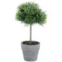 Kunstbaum Zeder REKNY, Kunststamm, Dekotopf, grün, 19cm
