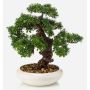 Künstlicher Bonsai Ficus MIRSANDA in Bonsaischale, 35cm
