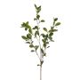 Deko Zweig Mäusedorn LOVRIS mit Blüten, grün-gelb, 90cm