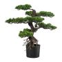 Künstlicher Baum Bonsai Teepflanze KEFIEL mit Wurzeln, 75cm