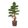 Deko Baum Bonsai Lärche WOME im Magnesiatopf, 125cm