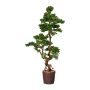 Deko Baum Bonsai Lärche WOME im Magnesiatopf, 155cm