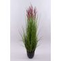 Chinaschilf künstlich WASDIN mit Rispen, grün-pink, 125cm