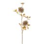 Dekozweig Allium FINTRA, gold, 75cm
