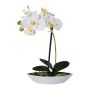 Kunst Phalaenopsis Orchidee ORWAN, Dekoschale, Wurzeln, weiß, 30cm