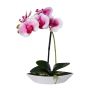 Kunst Phalaenopsis Orchidee ORWAN, Dekoschale, Wurzeln, weiß-lila, 30cm