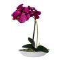 Kunst Phalaenopsis Orchidee ORWAN, Dekoschale, Wurzeln, lila, 30cm