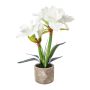Kunstblumen Gesteck Amaryllis OWELRA mit Gras, Zementtopf, weiß, 40cm