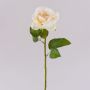 Rose künstlich WINAKAS, creme-aprikose, 35cm, Ø10cm
