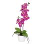 Dekoblume Phalaenopsis Orchidee MORLEK, Keramiktopf, Wurzeln, pink, 60cm