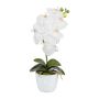 Dekoblume Phalaenopsis Orchidee DRINTOR, Keramiktopf, Wurzeln, weiß, 40cm